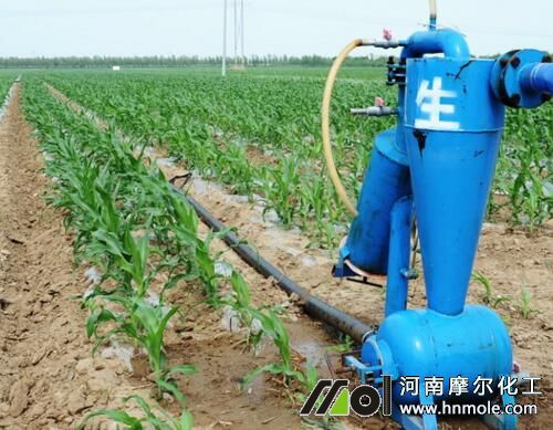 水溶肥葉面噴施用量