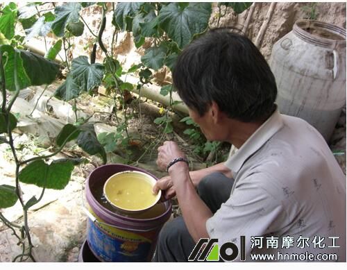 水溶肥沖施方法