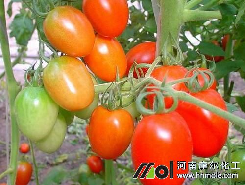 ䷽ʩʼg(sh)