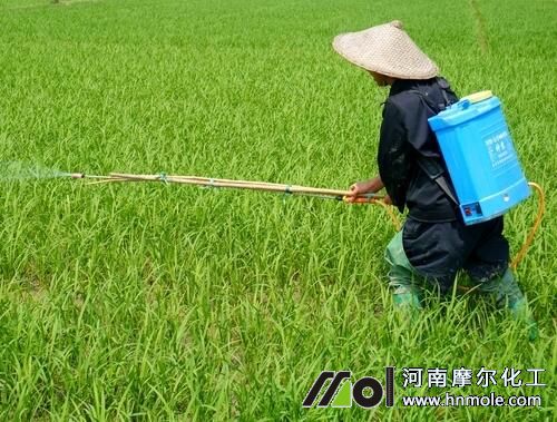 水溶肥葉面噴施濃度