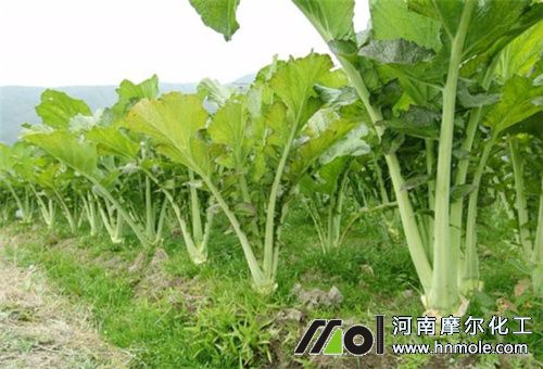 水溶肥使用注意