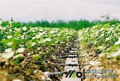 水溶性肥料用法