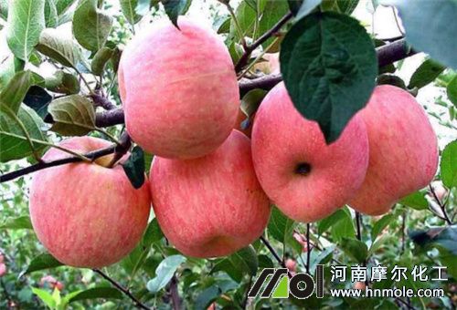 成熟前用水溶肥
