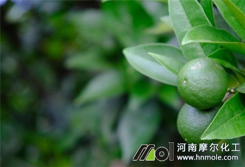 坐果期用水溶肥