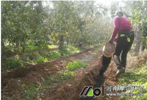 采摘后用水溶肥