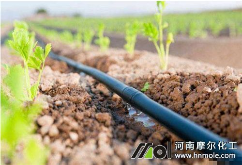 有機(jī)水溶肥滴灌