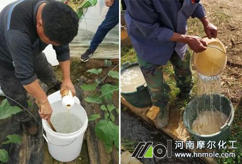 水溶肥規(guī)范用法