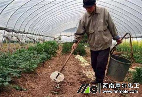 菜地水溶肥吸收長短