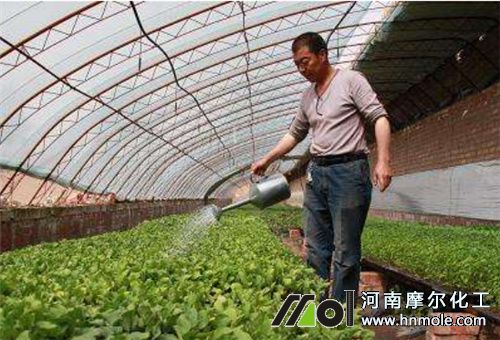 菜地水溶肥吸收長短