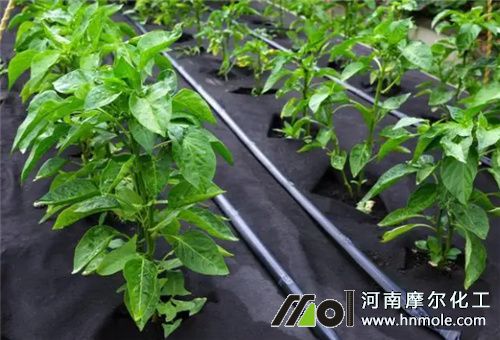 水溶肥兌水量