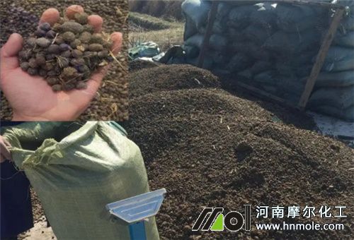 梨樹施基肥