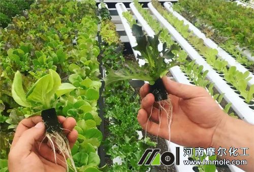 溫室作物施水溶肥