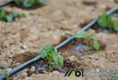 溫室施肥量